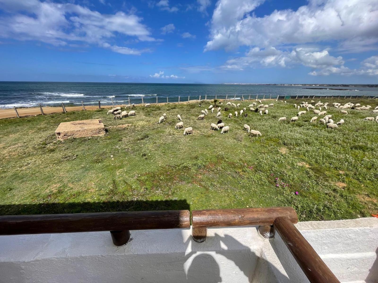 Casa Al Mare Con Splendida Vista Sul Mare Villa Petrosino Exteriör bild
